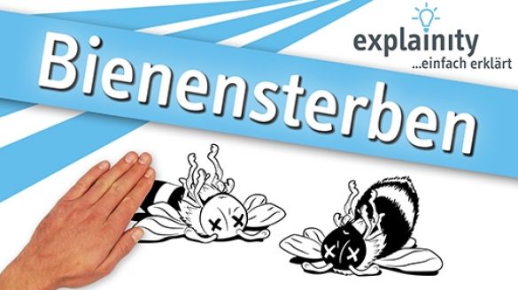 Bienensterben einfach erklärt: explainity Erklärvideo des explainity education-projects