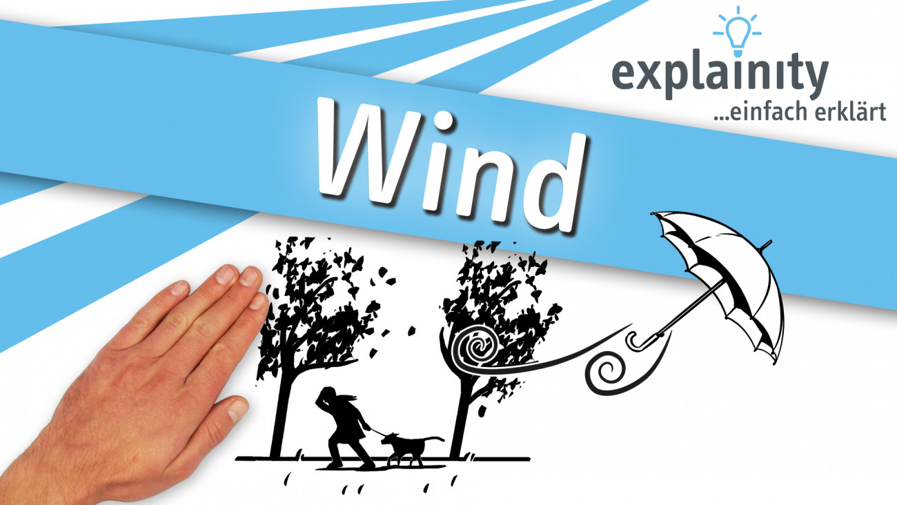 Wind 2021 Explainity Thumbnail