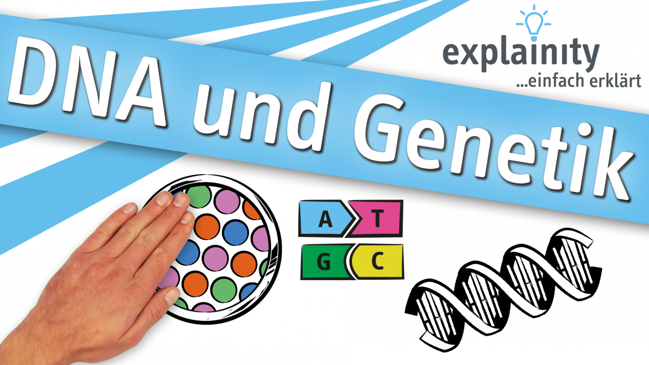 Dnaund Genetik 2023 Explainity Thumbnail