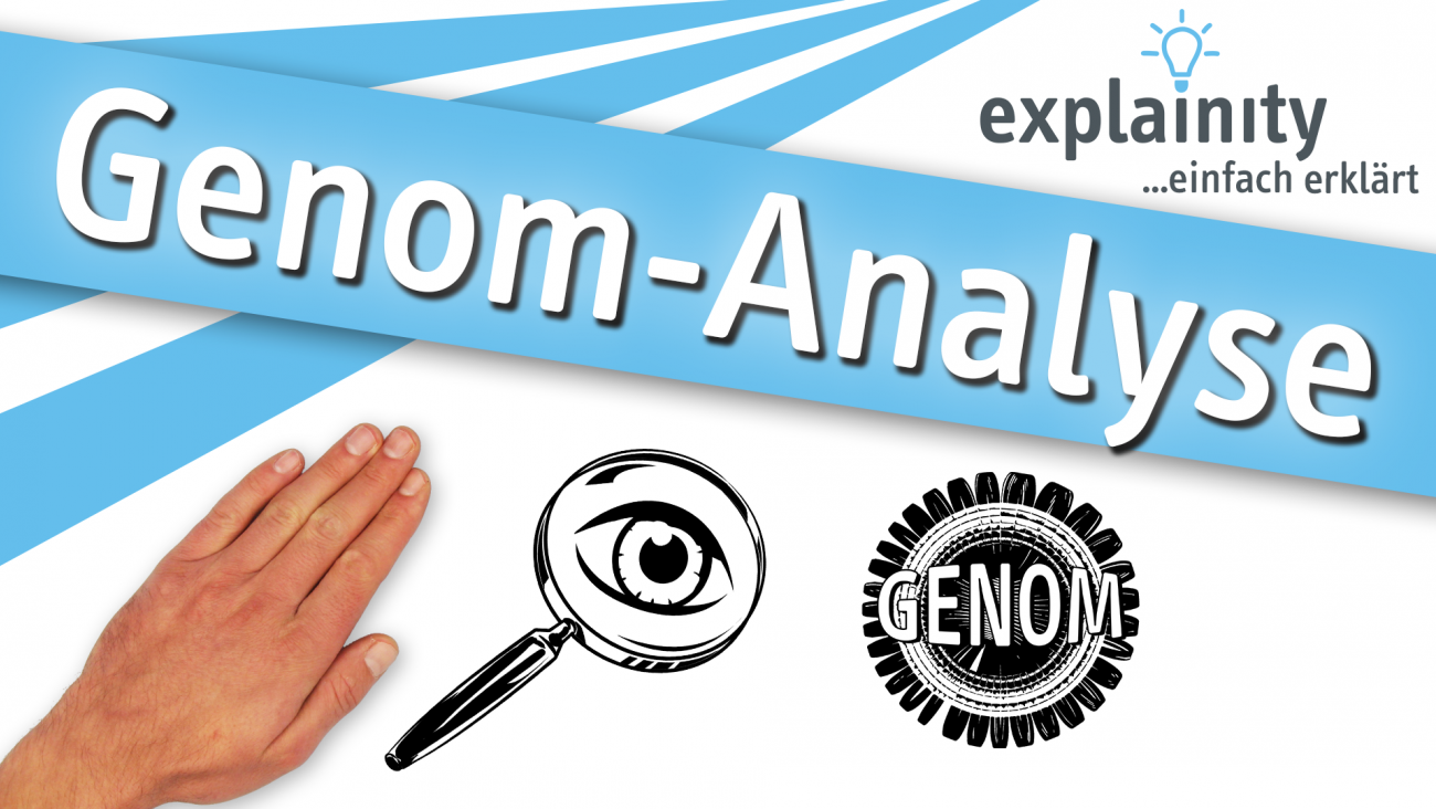 Genom Analyse 2023 Explainity Thumbnail